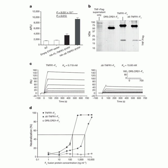 TNF receptor 1 genetic risk mirrors outcome of anti-TNF therapy in multiple sclerosis featured
