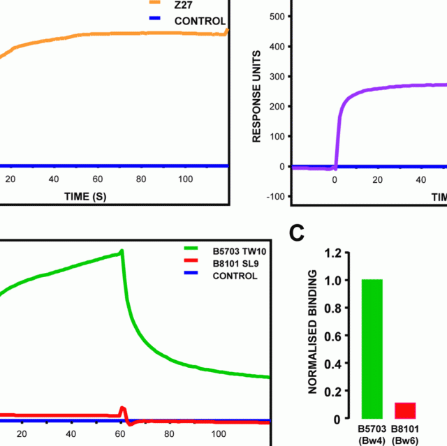 An early HIV mutation within an HLA-B*57-restricted T cell epitope abrogates binding to the killer inhibitory receptor 3DL1 featured