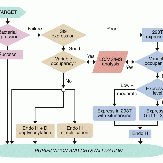 Solutions to the glycosylation problem for low- and high-throughput structural glycoproteomics featured