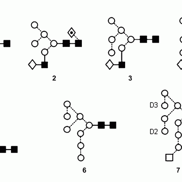 Disruption of alpha-mannosidase processing induces non-canonical hybrid-type glycosylation featured