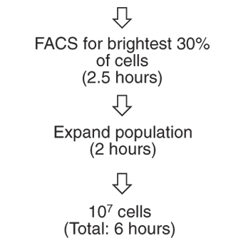 Protein Structure and interactions, Simon Davis Lab, Oxford