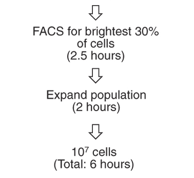 _A-streamlined-implementation-of-the-glutamine-synthetase-based-protein-expression-system-feature-image Protein Structure and interactions, Simon Davis Lab, Oxford