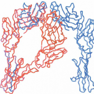 Crystal-structure-of-a-soluble-CD28-Fab-complex-feature-image Protein structure and interactions, simon davis lab oxford
