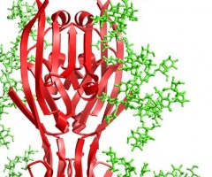 Protein Structure and Interactions, Simon Davis Lab, Oxford