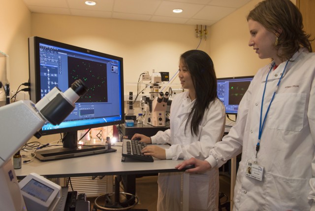 Shirley Yang and Meike Aßmann Simon Davis Lab, Oxford