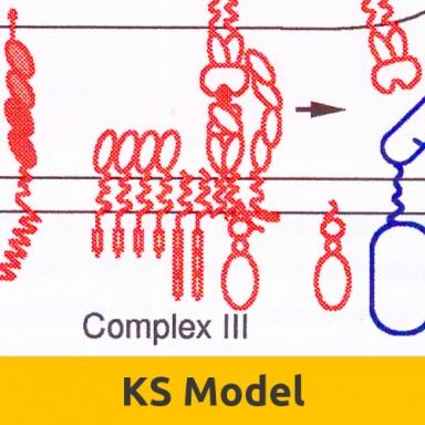 Sidebar KS