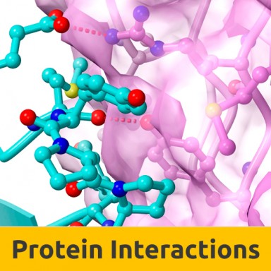 Sidebar proteininteractions